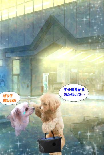 生き物ルーム第30