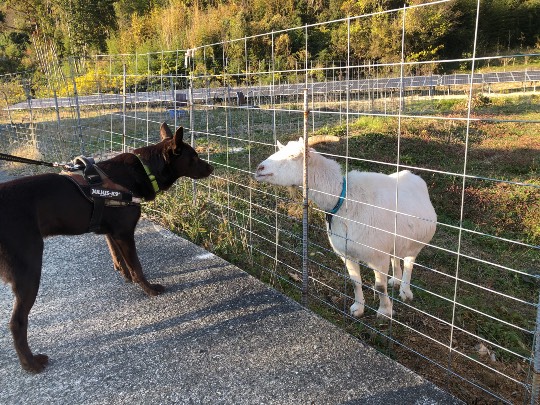 生き物ルーム第30