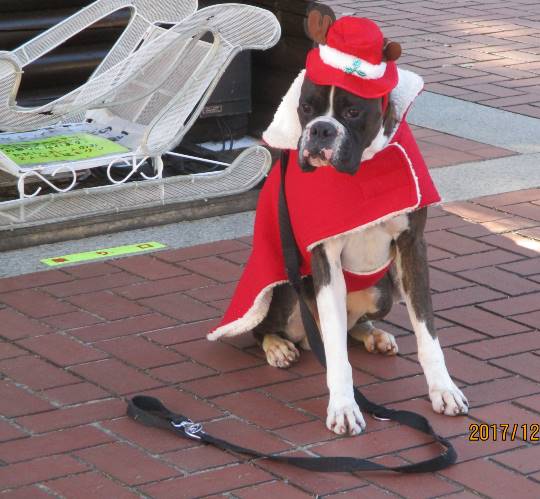 生き物ルーム第31