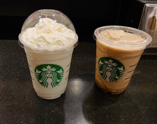 マスク同窓会詰所兼ニューフェイス歓迎所8