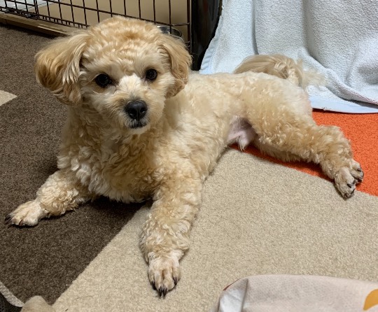 生き物ルーム第31