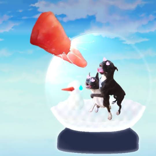 生き物ルーム第30