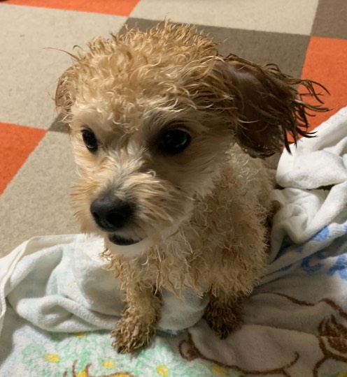 生き物のルーム第32