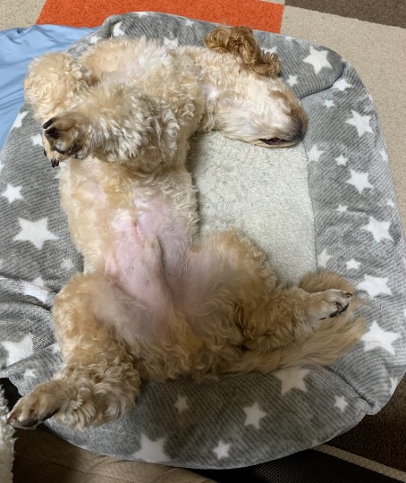 生き物ルーム第31