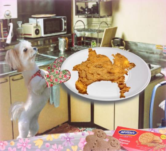 生き物ルーム第30