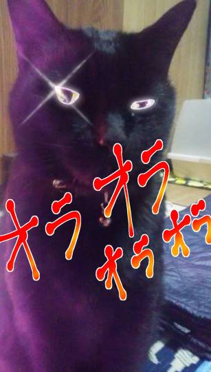 生き物ルーム第31