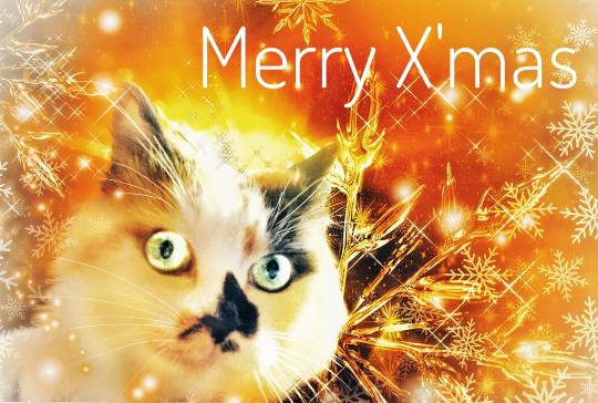 生き物ルーム第30