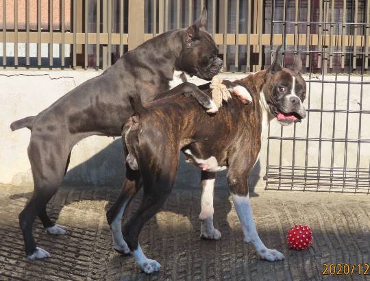 生き物のルーム第32