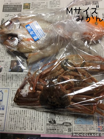 【スナックJINJIN】メリークリスマス&amp;ハッピーニューイヤー　おめでたいぞ8号店！