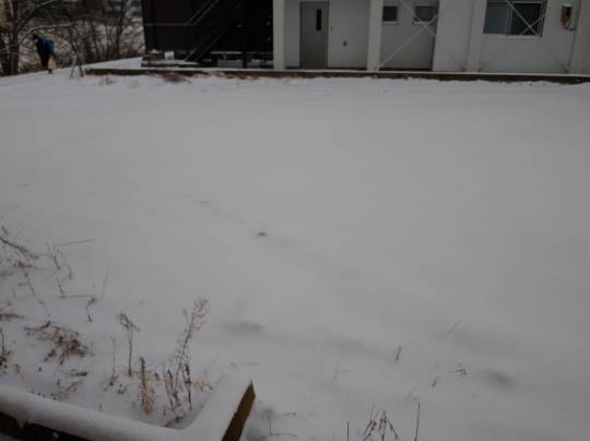 ★ドンキ♡♡ロピア 雑談 3★