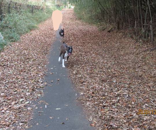 生き物ルーム第31