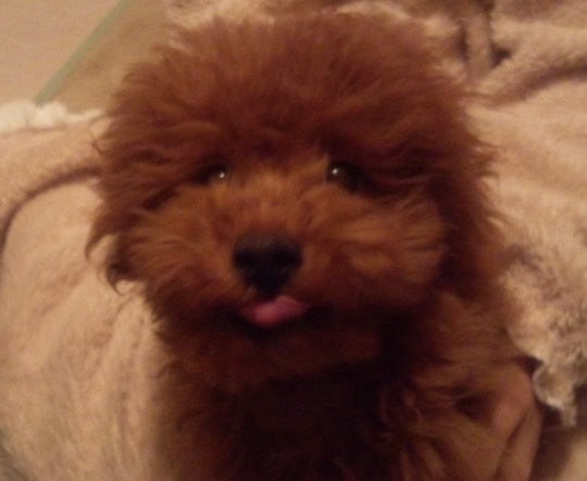 生き物ルーム第31