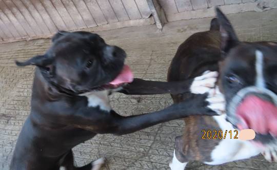 生き物ルーム第31