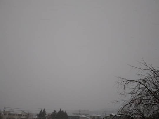 ★ドンキ♡♡ロピア 雑談 5★