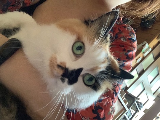 生き物ルーム第30