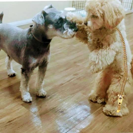 生き物ルーム第30