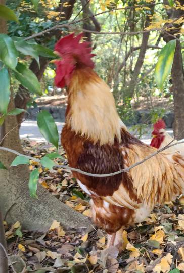 東海エリア界Ｎｏ．５　(^_-)-☆