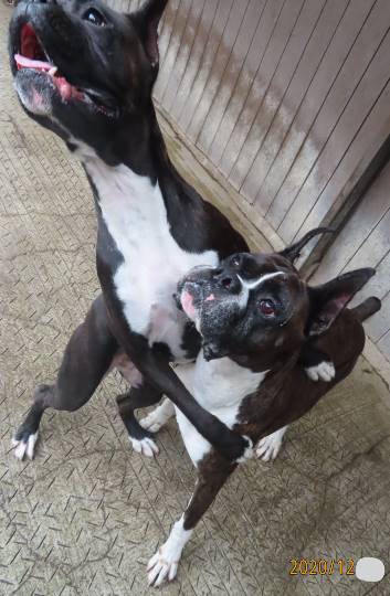 生き物ルーム第31