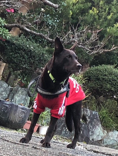 生き物ルーム第30