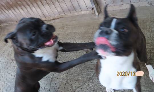 生き物ルーム第31