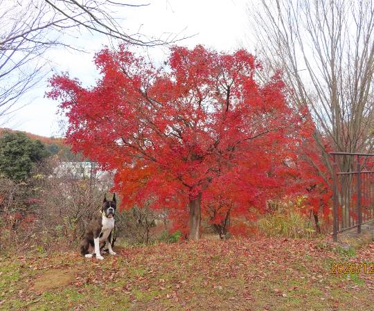 生き物ルーム第31