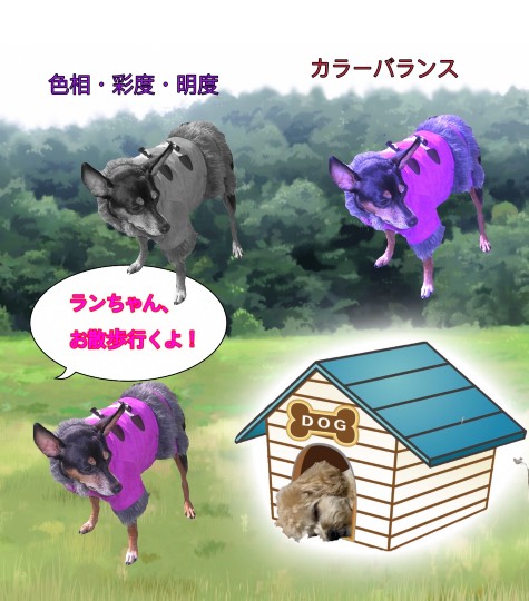 生き物ルーム第30