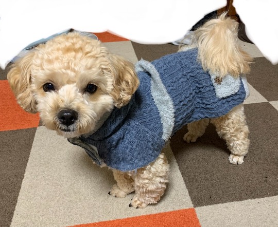 生き物のルーム第32