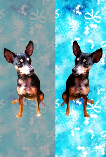 生き物ルーム第30