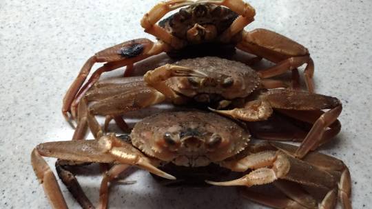 【スナックJINJIN】メリークリスマス&amp;ハッピーニューイヤー　おめでたいぞ8号店！