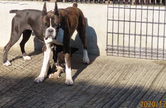 生き物のルーム第32