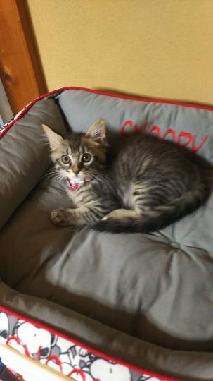 生き物ルーム第31