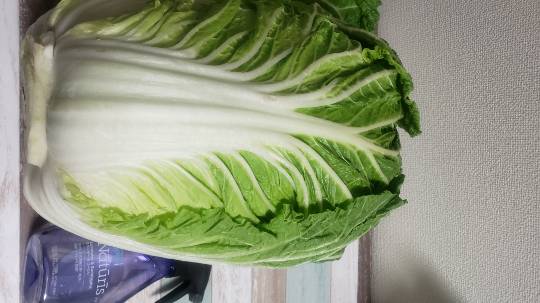 マスク同窓会詰所兼ニューフェイス歓迎所7