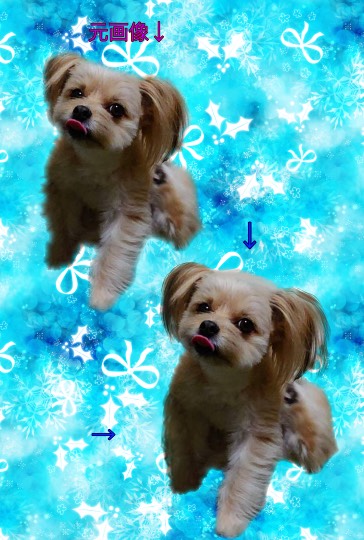 生き物ルーム第30