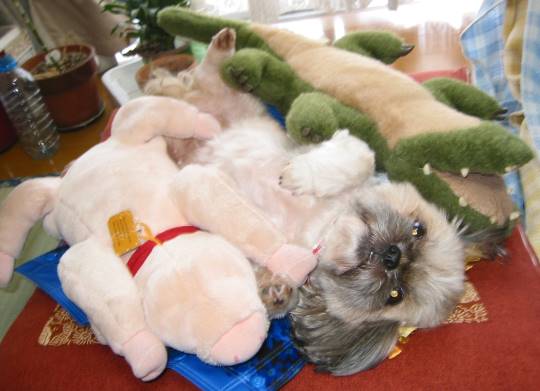 生き物ルーム第31