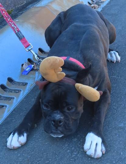 生き物ルーム第31