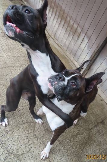 生き物ルーム第31