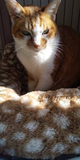 生き物ルーム第31