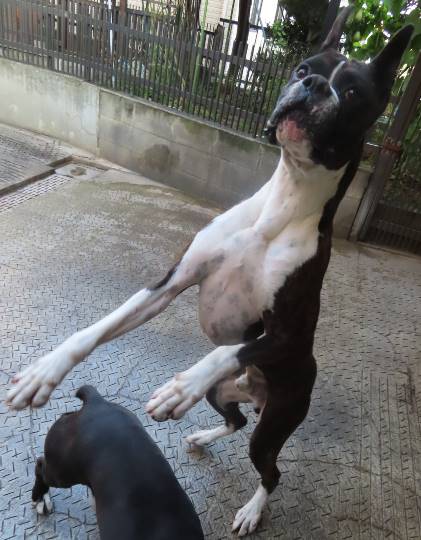 生き物ルーム第31