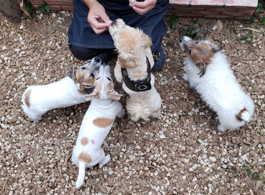 生き物ルーム第30