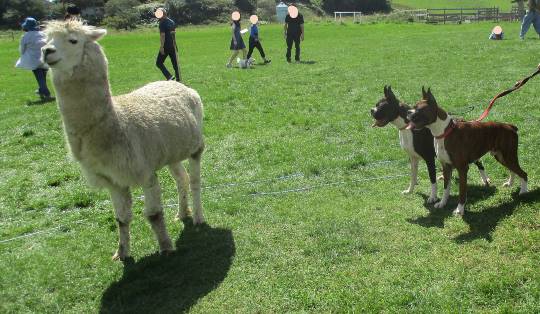 生き物ルーム第31