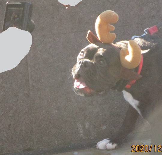 生き物ルーム第31