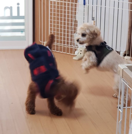 生き物ルーム第31