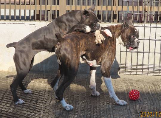 生き物のルーム第32