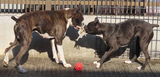 生き物のルーム第32