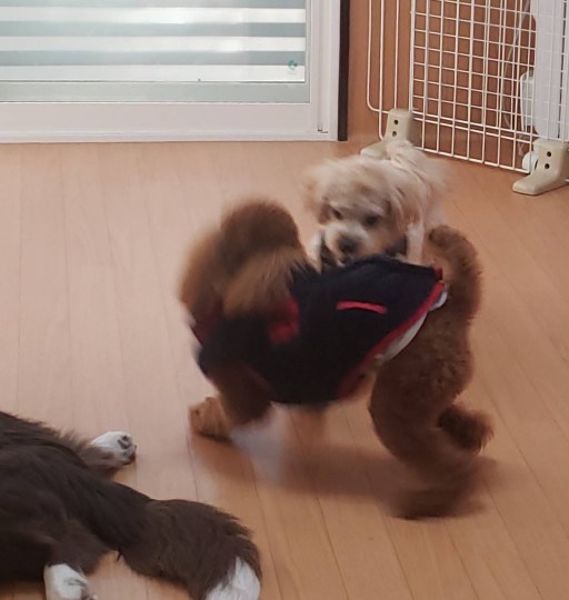 生き物ルーム第31