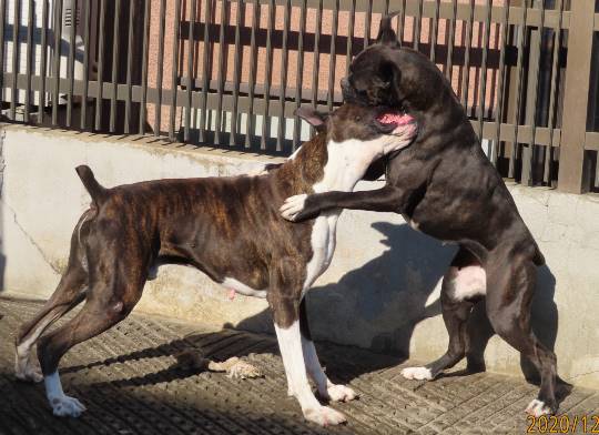 生き物のルーム第32