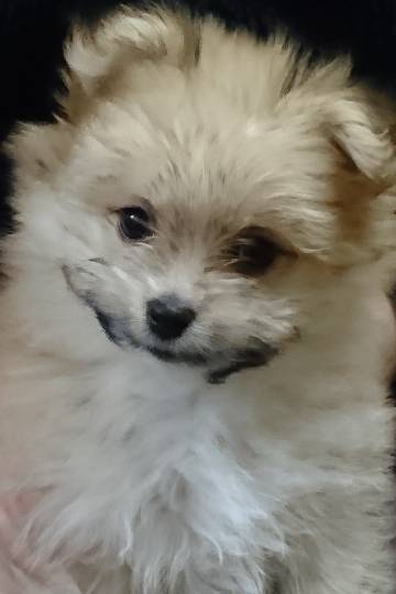 生き物ルーム第31