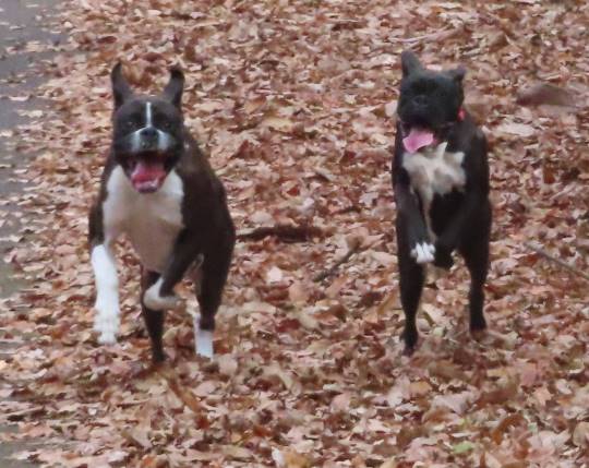 生き物ルーム第31