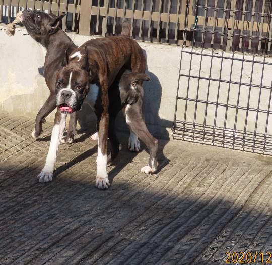 生き物のルーム第32