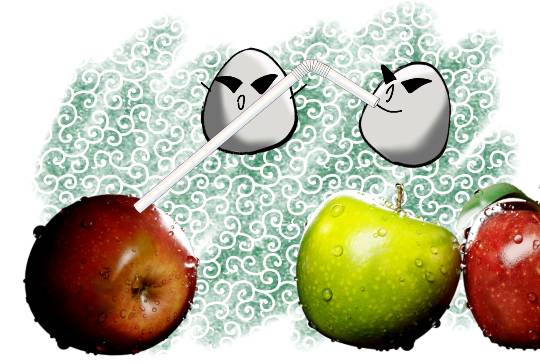 EGG'S CAFE 寒いンじゃぁ~!